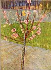 Peach Tree in Blossom by Vincent van Gogh